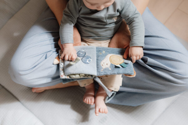 Stroller Booklet - Forest Friends